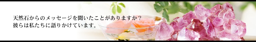 �p���[�X�g�[�� �Ӗ�